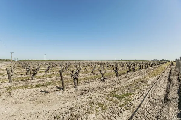 a view of a lake with a mountain