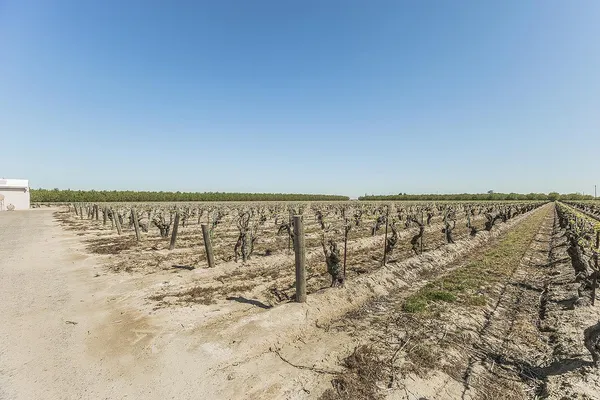 $3,600,000 | 5290 North Bishop Avenue, Fresno, CA 93723