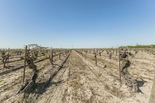 $3,600,000 | 5290 North Bishop Avenue, Fresno, CA 93723