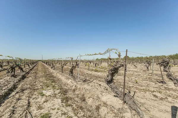 $3,600,000 | 5290 North Bishop Avenue, Fresno, CA 93723