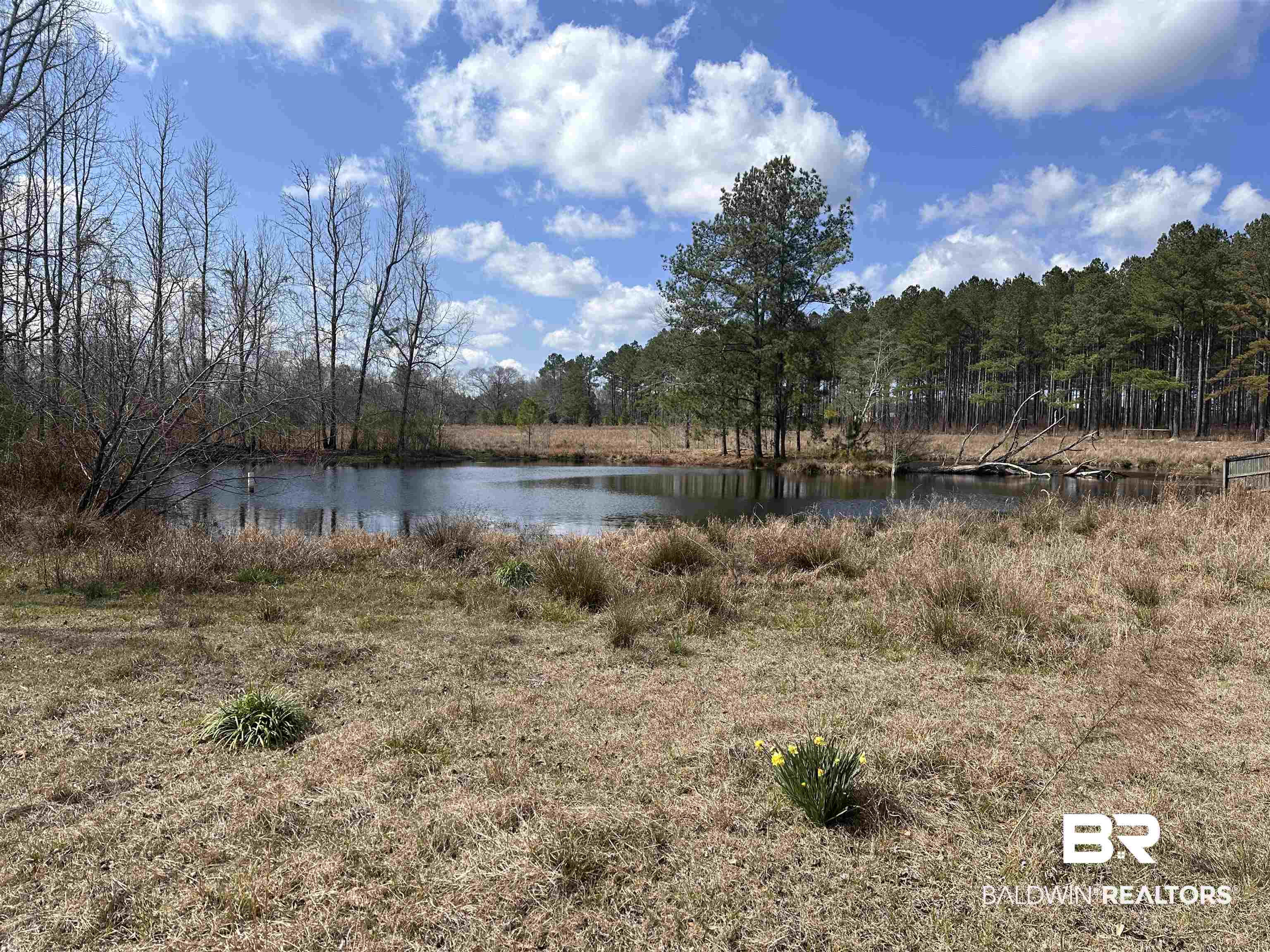 699 Wilcox Road Evergreen, AL 36401 - Photo 3 of 3