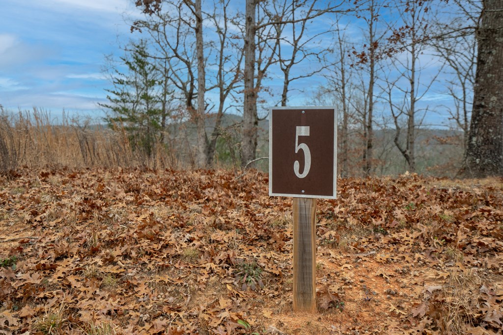 Lot 5 Blalock Mountain Road Talking Rock, GA 30175 - Photo 3 of 22