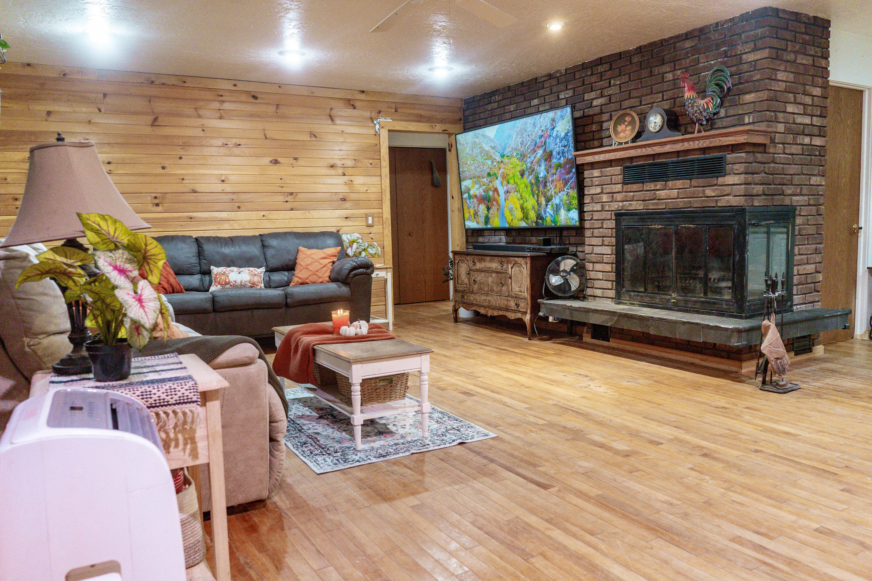 26150 Featherstone Road Sturgis, MI 49091 - Photo 12 of 12 ireenalvingroom3