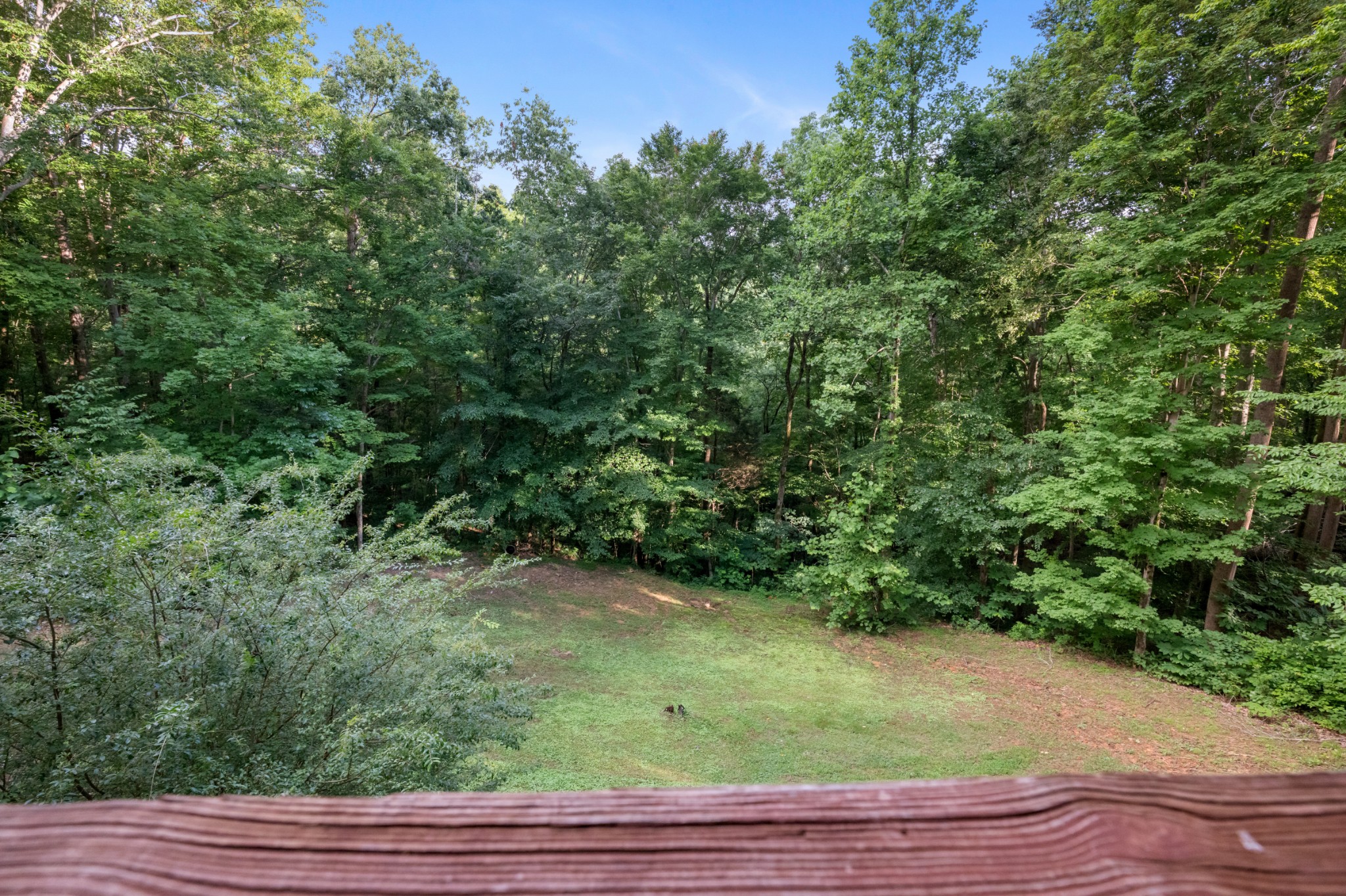 165 Kangaroo Ridge Road Byrdstown, TN 38549 - Photo 23 of 27 a view of a yard