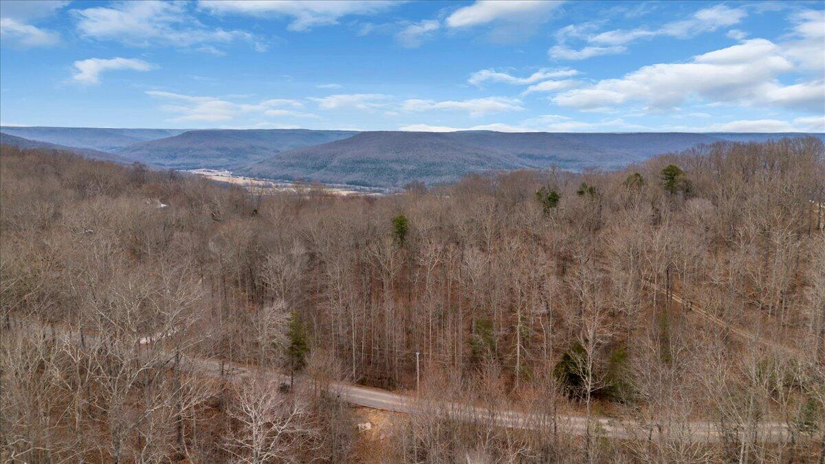 0 Jackson Point Road Sewanee, TN 37375 - Photo 11 of 12 12-DJI_0696