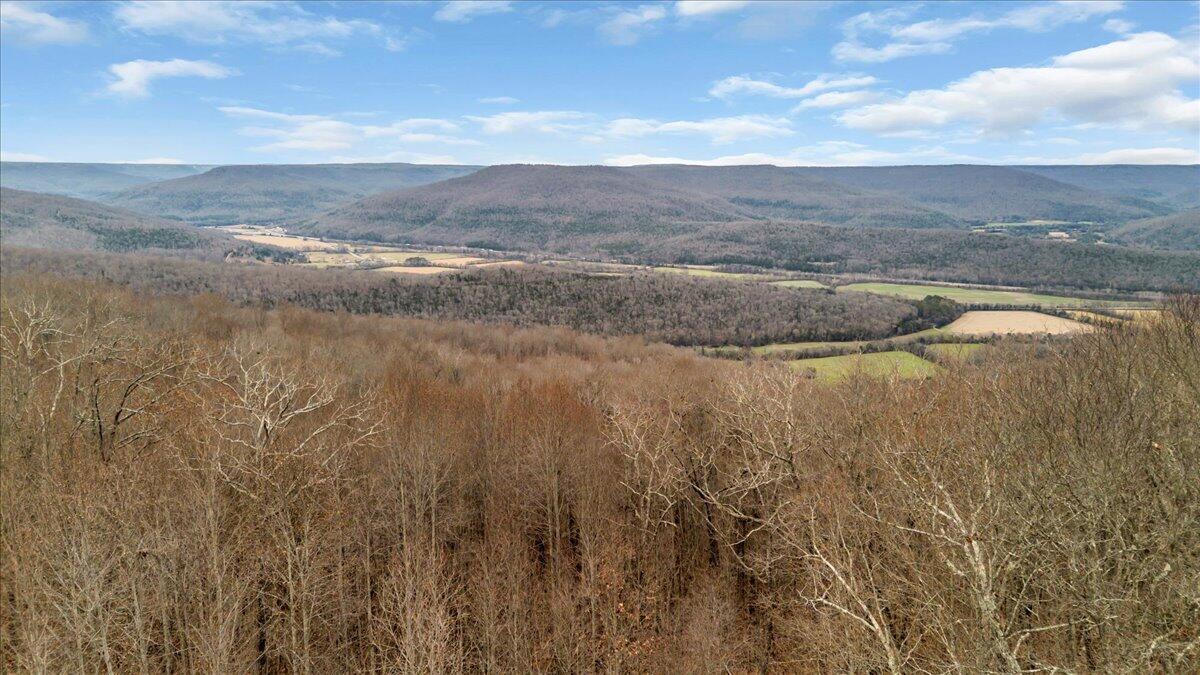 0 Jackson Point Road Sewanee, TN 37375 - Photo 2 of 12 08-DJI_0690