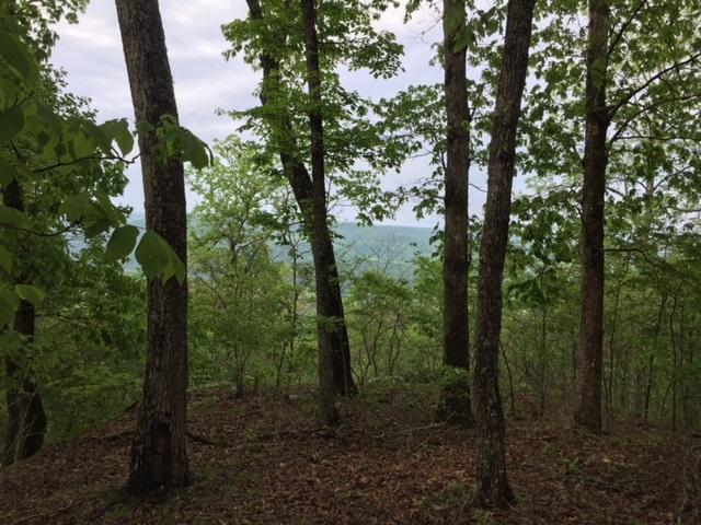 0 Jackson Point Road Sewanee, TN 37375 - Photo 3 of 12 20170425192122366177000000-o