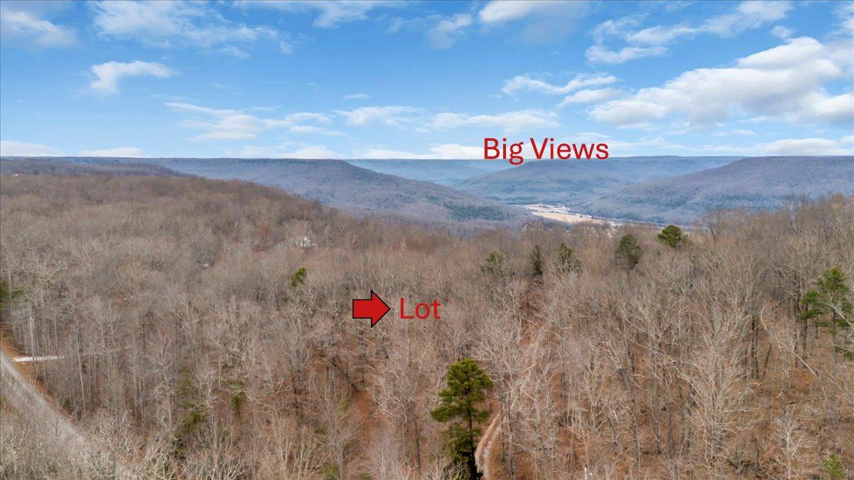 0 Jackson Point Road Sewanee, TN 37375 - Photo 4 of 12 01-DJI_0699