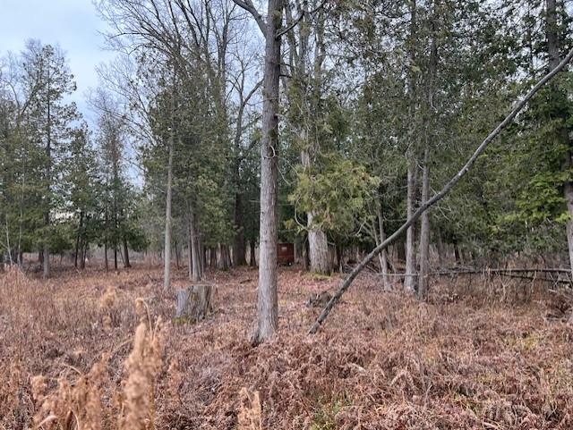 0 North Miller Road East Tawas, MI 48730 - Photo 6 of 23