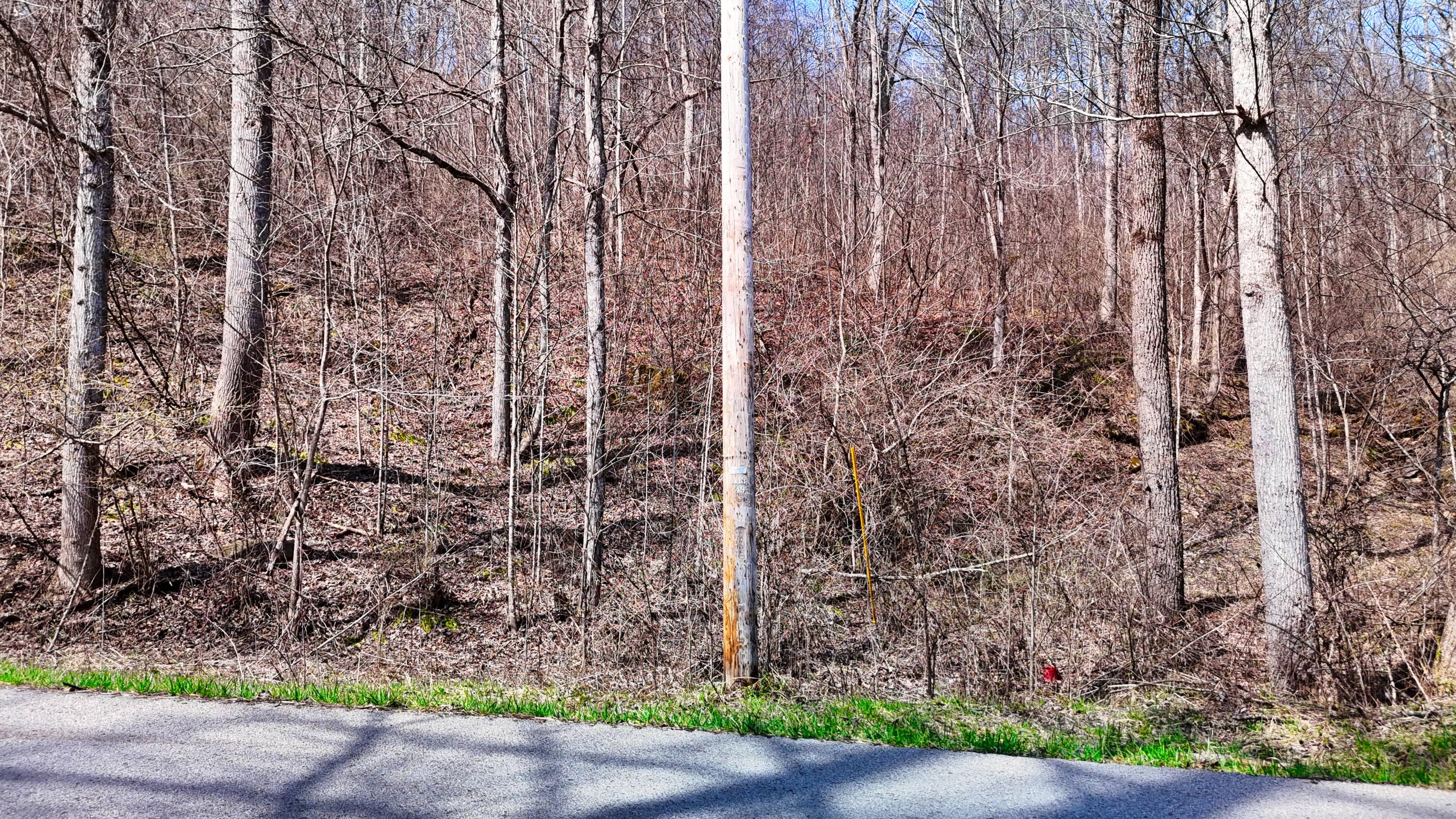 0 Sand Springs Road McKee, KY 40447 - Photo 57 of 58 DJI_20250318131751_0096_D