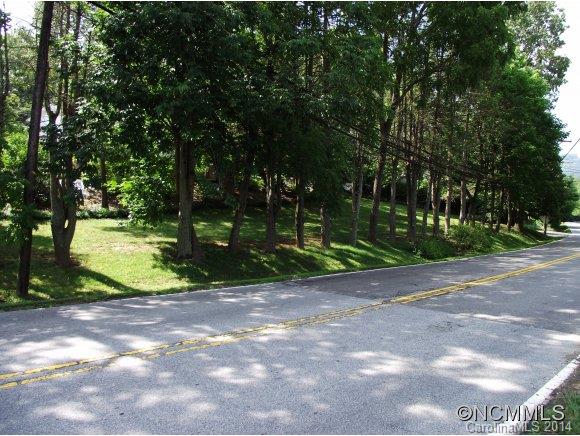 0 Weaverville Road Asheville, NC 28804 - Photo 5 of 5 a view of a park with large trees