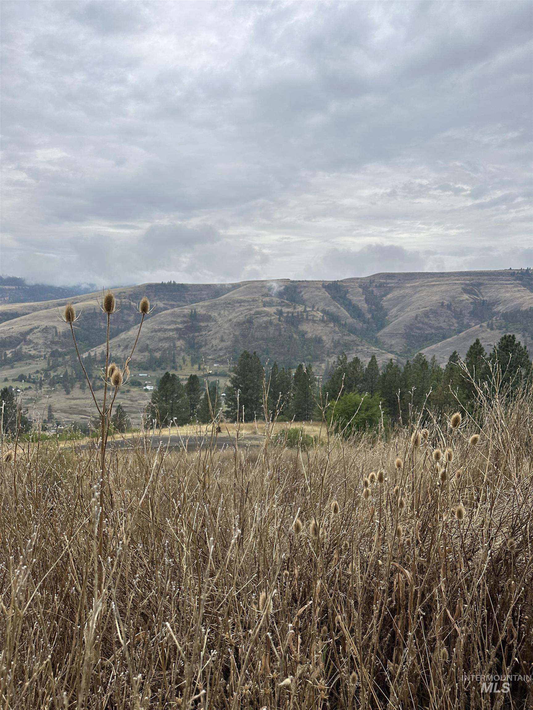 329 Battle Ridge Road Kooskia, ID 83539 - Photo 1 of 1 Gallery Image 1