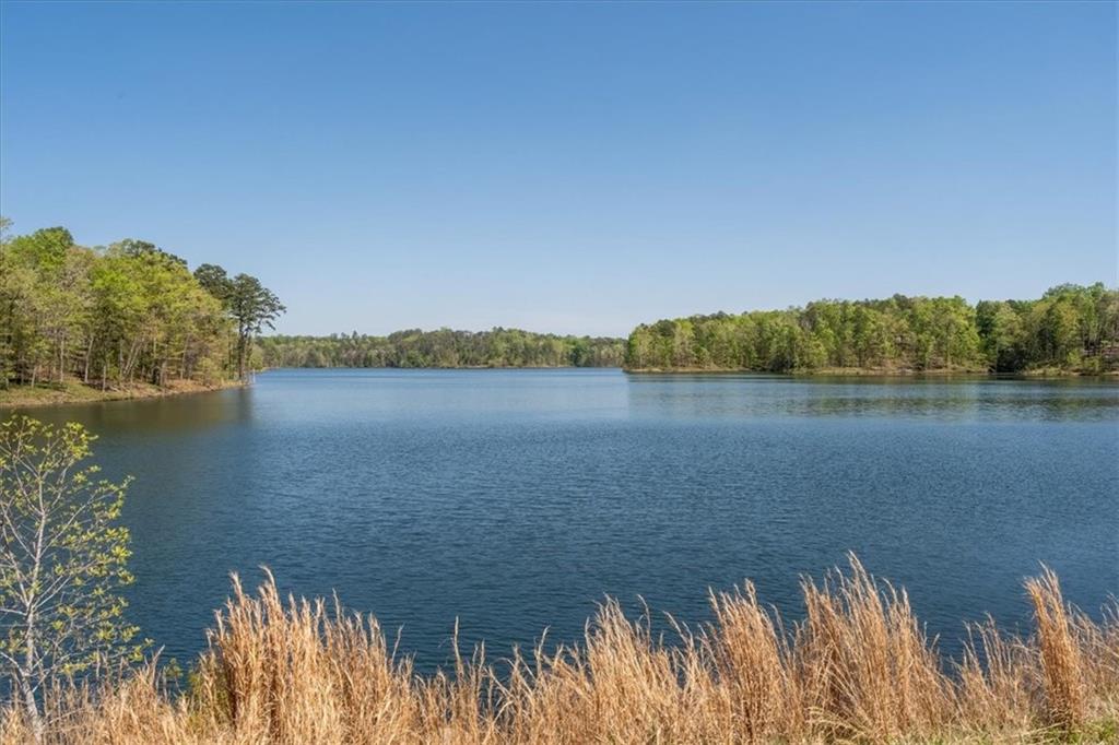 621 Little Bear Loop Canton, GA 30114 - Photo 45 of 45 a view of a lake with houses in the background