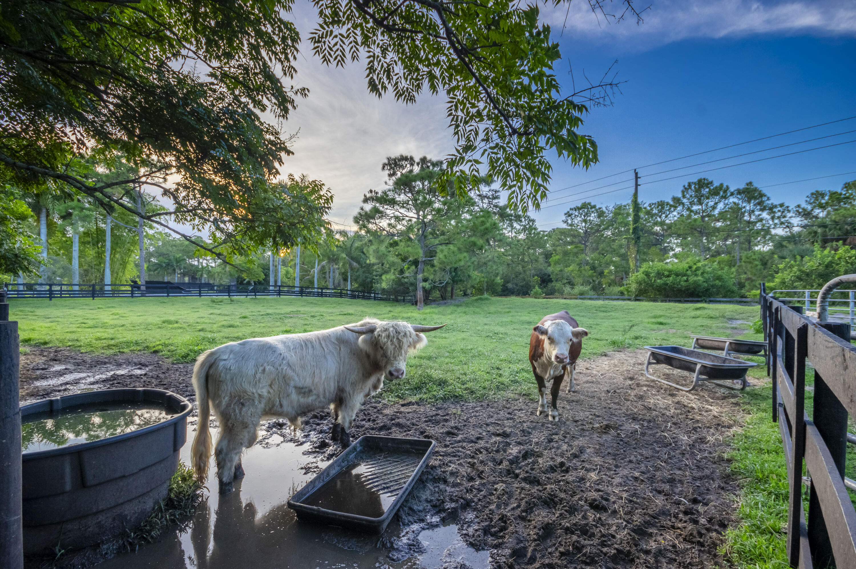 13395 Running Water Road Palm Beach Gardens, FL 33418 - Photo 90 of 117 IMG-3