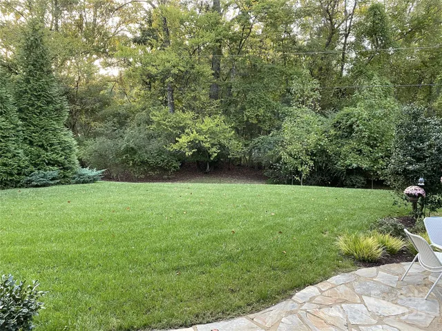 a view of a yard with potted plants and large trees