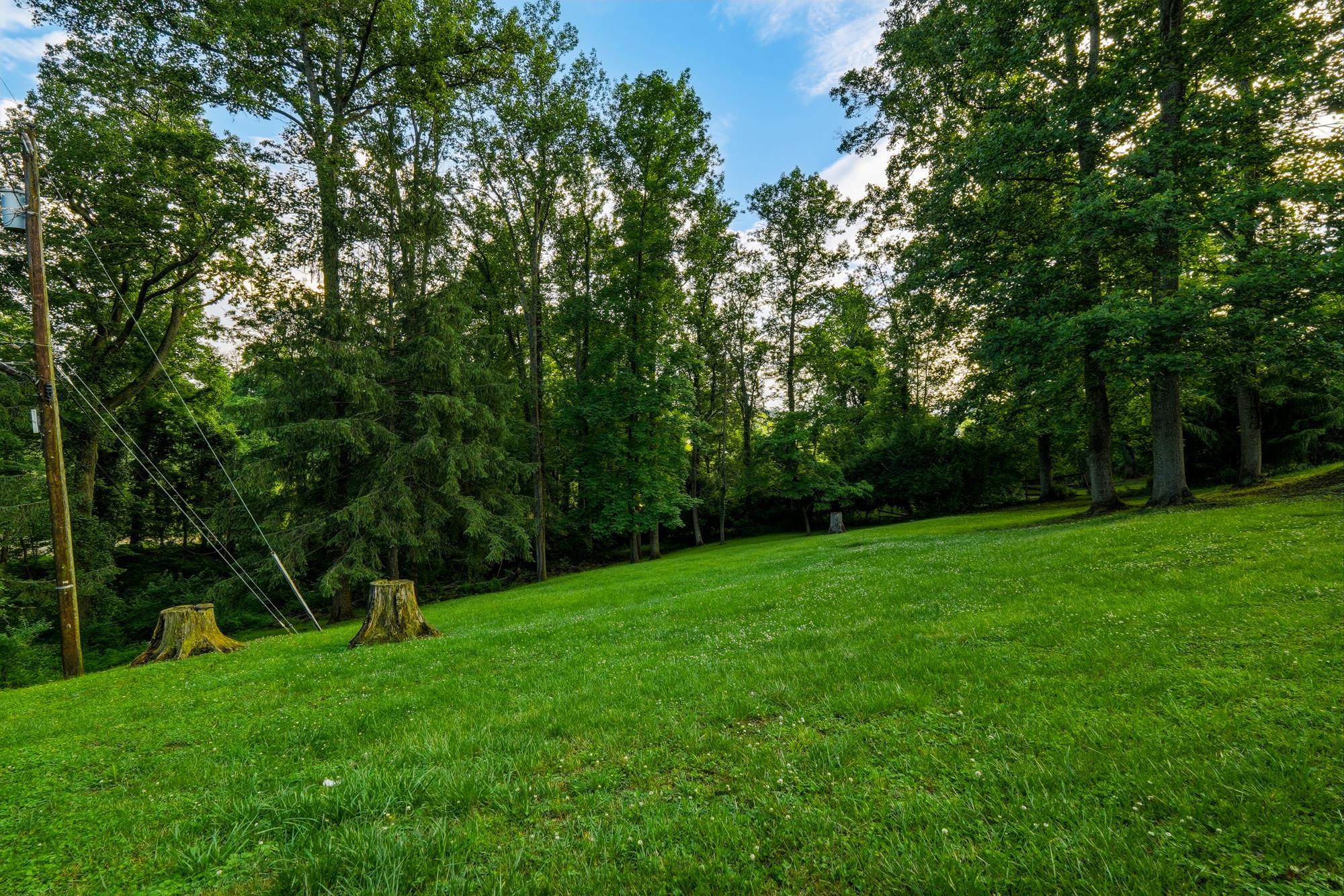 2823 Roseneath Road Huntington, WV 25705 - Photo 8 of 27 Gallery Image 8
