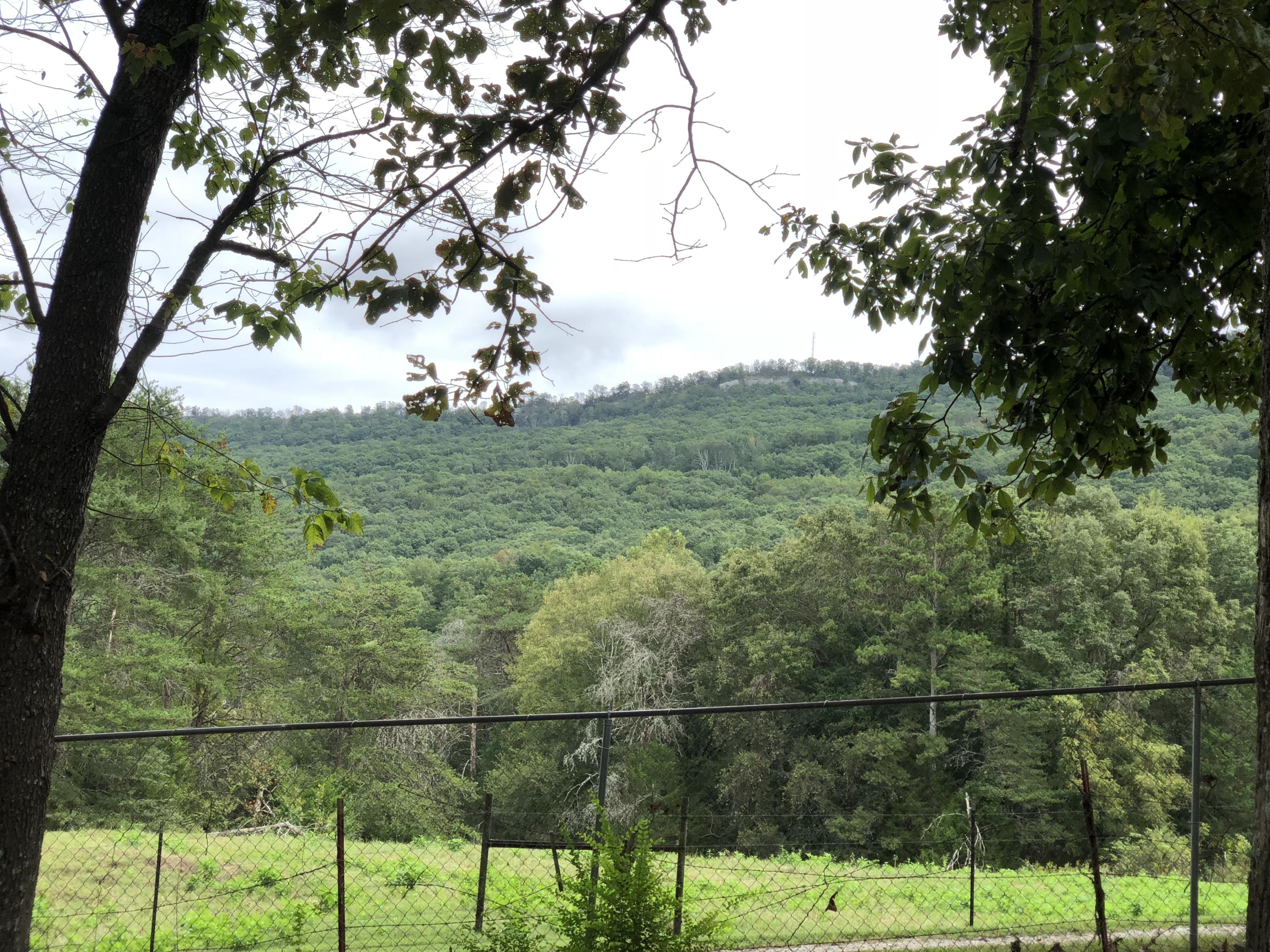 756 Creek Road Wildwood, GA 30757 - Photo 20 of 29 1004535C-4806-465E-B6D5-A5897EA54519