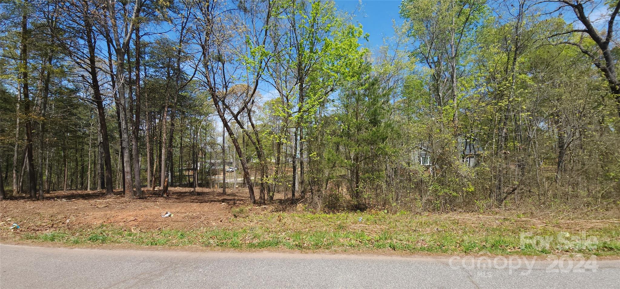 Lot 11 Cannon Road, Unit 11 Inman, SC 29349 - Photo 3 of 14 a backyard of a house with lots of green space