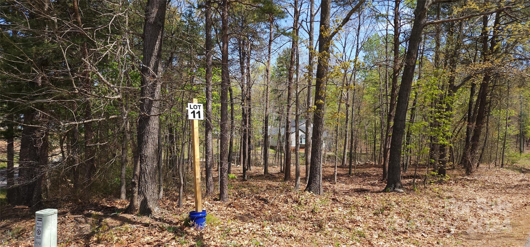 Lot 11 Cannon Road, Unit 11 Inman, SC 29349 - Photo 9 of 14 a view of forest