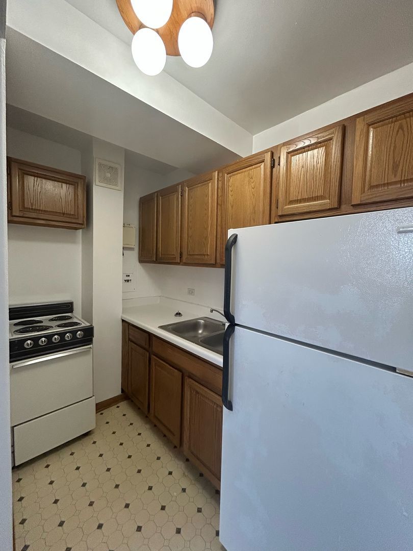 4180 North Marine Drive, Unit 310 Chicago, IL 60613 - Photo 4 of 7