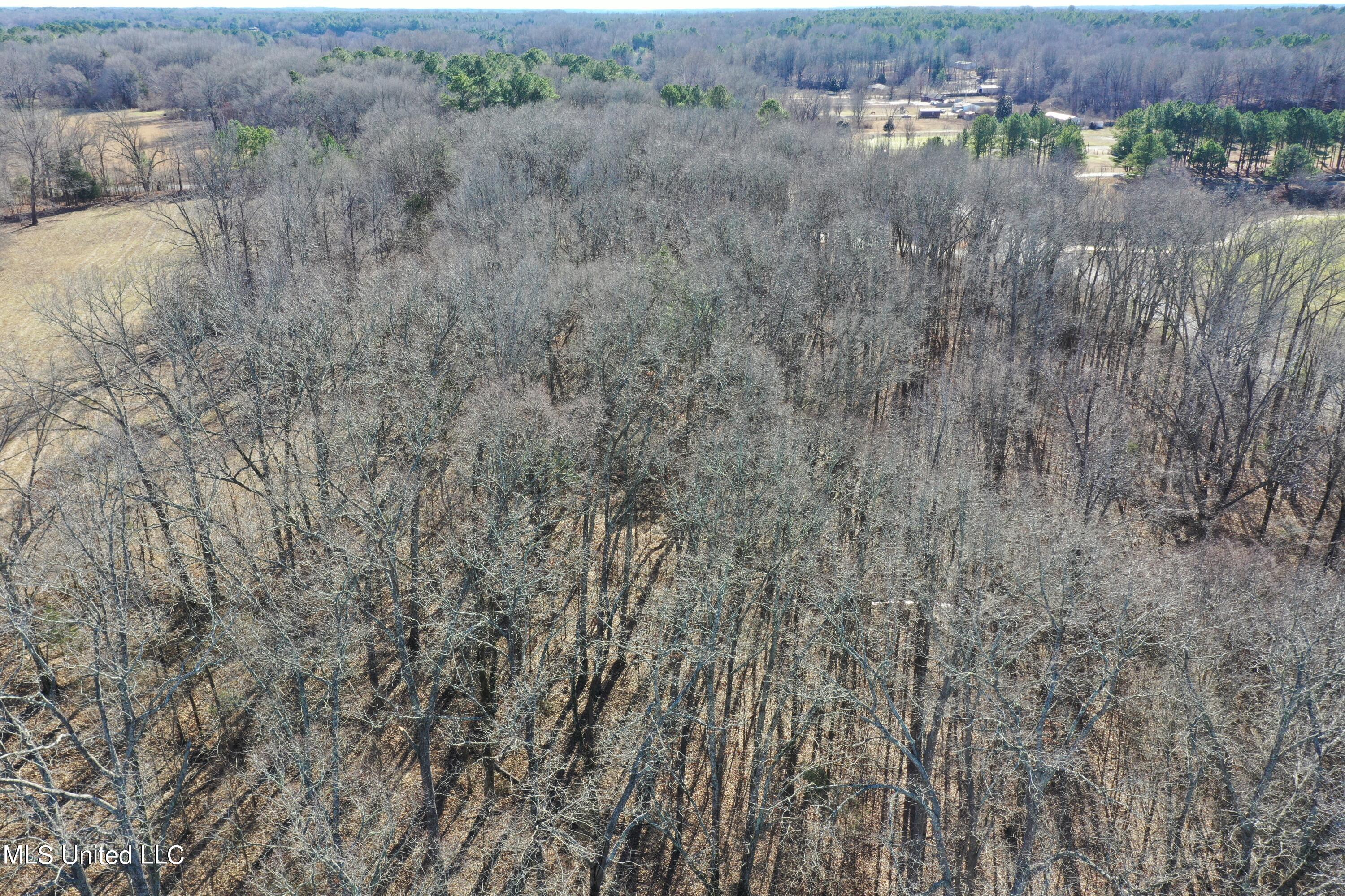 5.1 Victoria Road Holly Springs, MS 38635 - Photo 1 of 3 DJI_0967