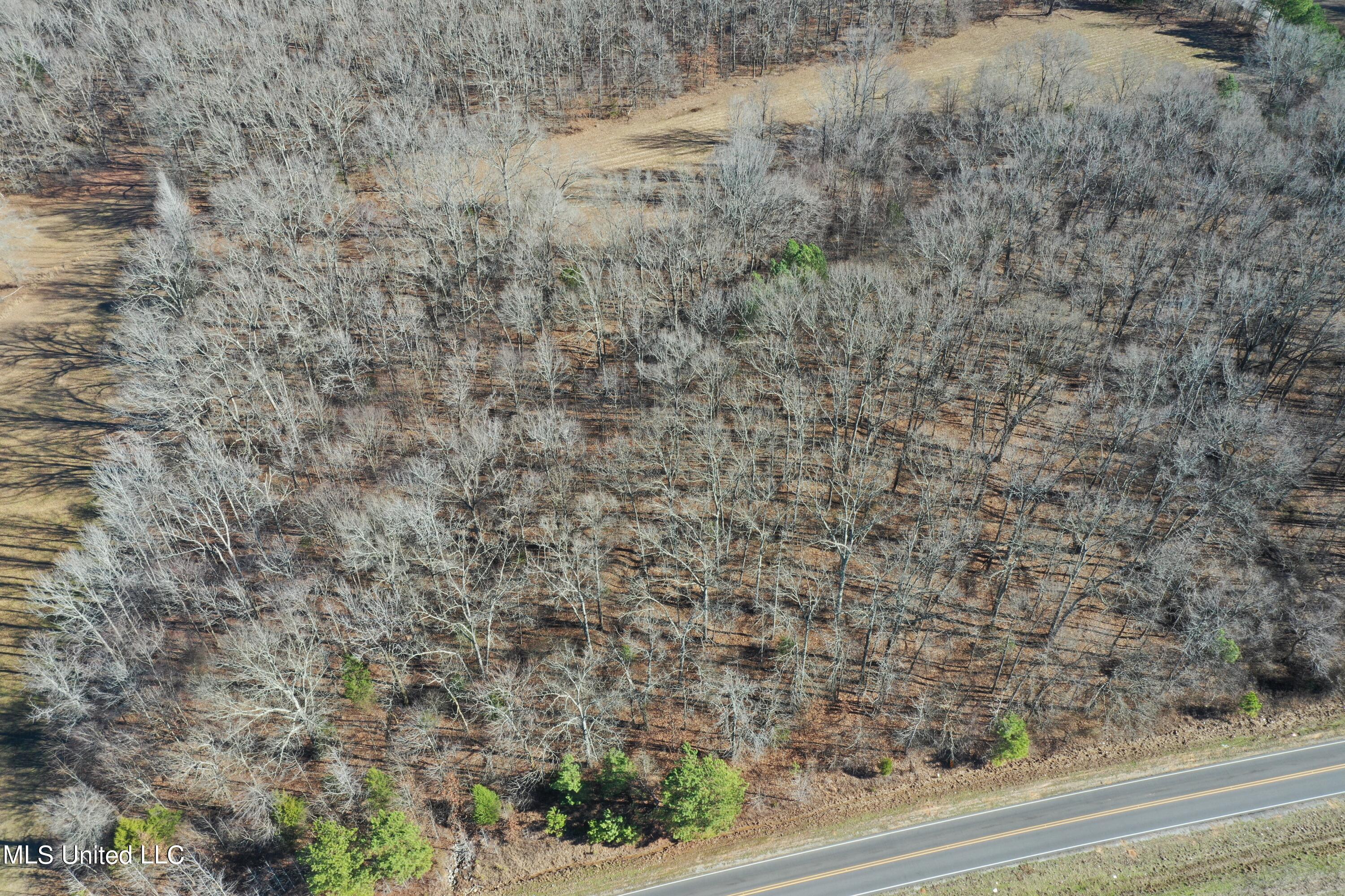 5.1 Victoria Road Holly Springs, MS 38635 - Photo 3 of 3 DJI_0971