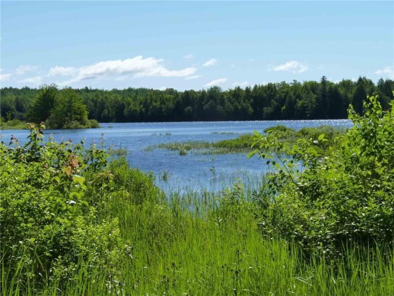 99 Silsby Road Mariaville, ME 04605 - Photo 5 of 18 Lakefront property