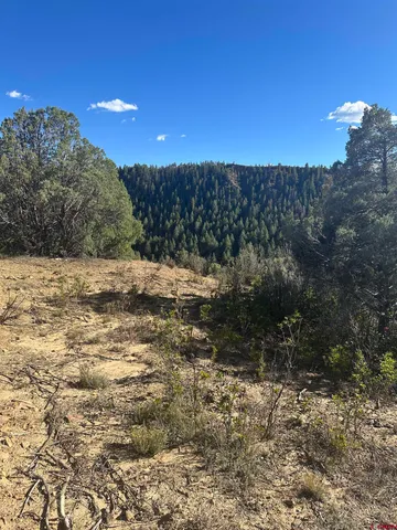 $120,000 | 232 Suttles Place, Pagosa Springs, CO 81147