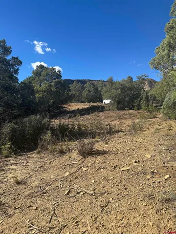 $120,000 | 232 Suttles Place, Pagosa Springs, CO 81147