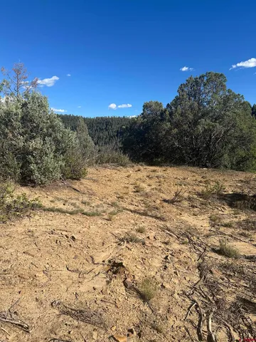 $120,000 | 232 Suttles Place, Pagosa Springs, CO 81147