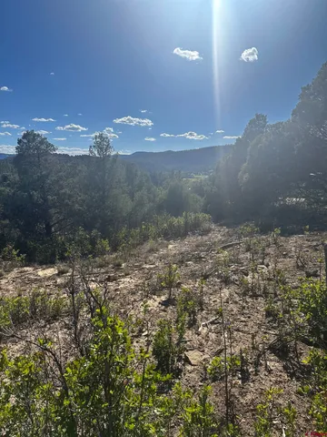 $120,000 | 232 Suttles Place, Pagosa Springs, CO 81147