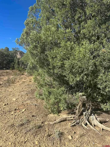 $120,000 | 232 Suttles Place, Pagosa Springs, CO 81147