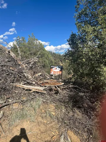 $120,000 | 232 Suttles Place, Pagosa Springs, CO 81147