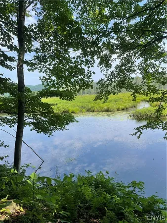 $299,000 | 5140 North North Tower Road, Truxton, NY 13158