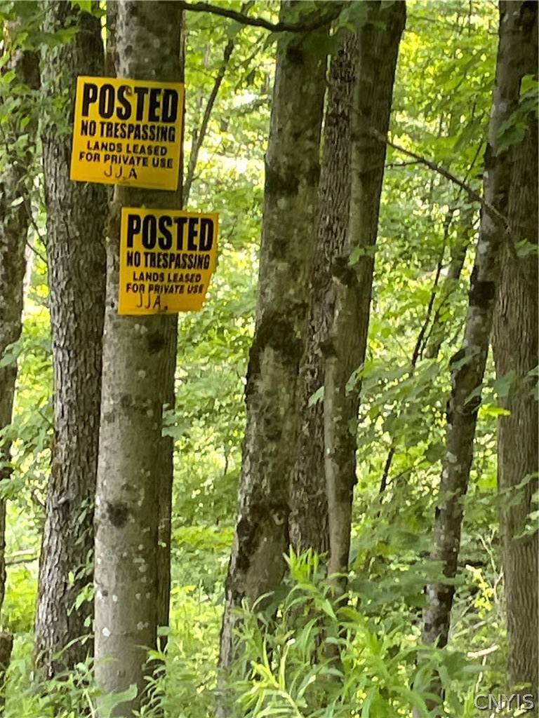 5140 North North Tower Road Truxton, NY 13158 - Photo 18 of 18