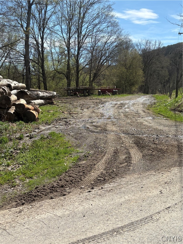 5140 North North Tower Road Truxton, NY 13158 - Photo 3 of 18