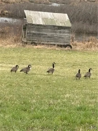 $299,000 | 5140 North North Tower Road, Truxton, NY 13158