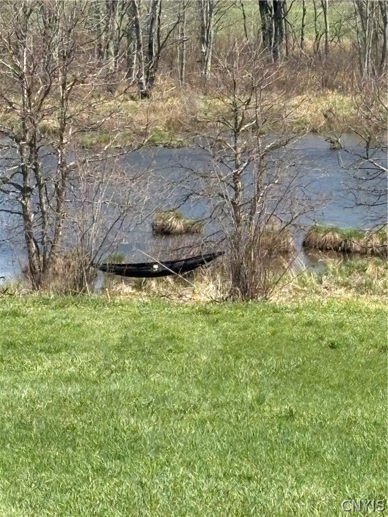 5140 North North Tower Road Truxton, NY 13158 - Photo 6 of 18