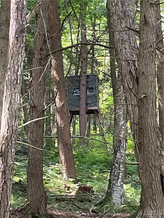 $299,000 | 5140 North North Tower Road, Truxton, NY 13158