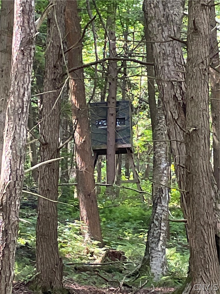 5140 North North Tower Road Truxton, NY 13158 - Photo 8 of 18