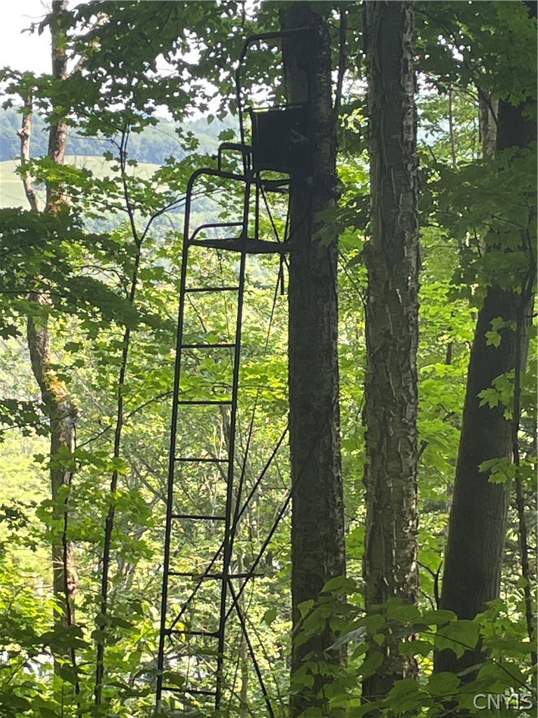 5140 North North Tower Road Truxton, NY 13158 - Photo 10 of 18