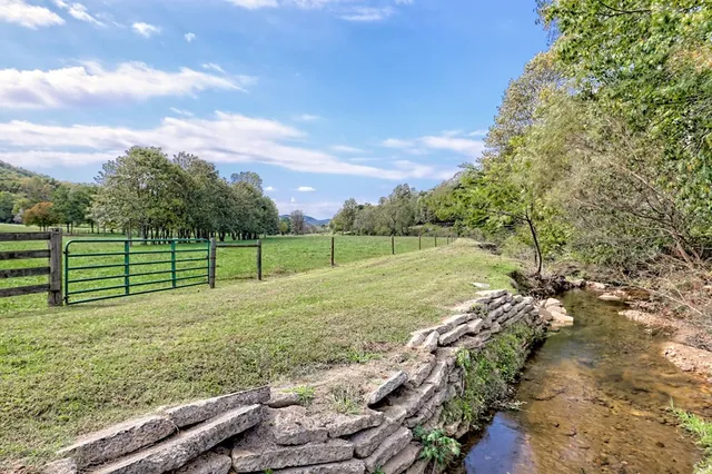 an aerial view of green landscape with trees all around