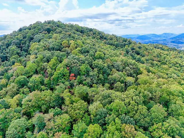 a kitchen with stainless steel appliances granite countertop a sink a stove and refrigerator