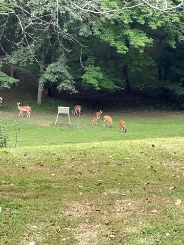 a bathroom with a shower and a sink