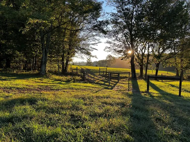 a view of a lake with a building in the background