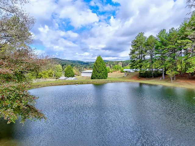 an aerial view of a house with garden