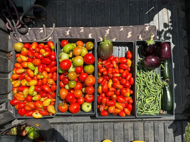 $5,499,000 | 3147 Old Highway 64 West, Warne, NC 28909