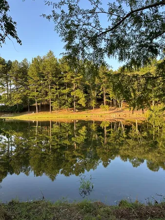 $5,499,000 | 3147 Old Highway 64 West, Warne, NC 28909