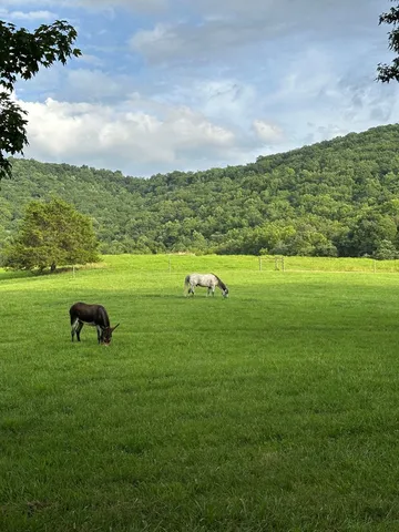 $5,499,000 | 3147 Old Highway 64 West, Warne, NC 28909