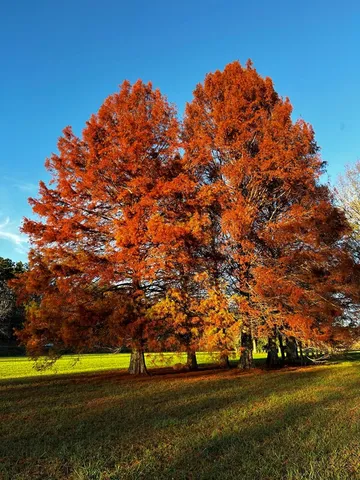 $5,499,000 | 3147 Old Highway 64 West, Warne, NC 28909